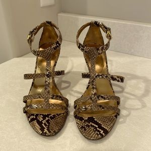 COACH snakeskin kitten heel sandal size 9.5.